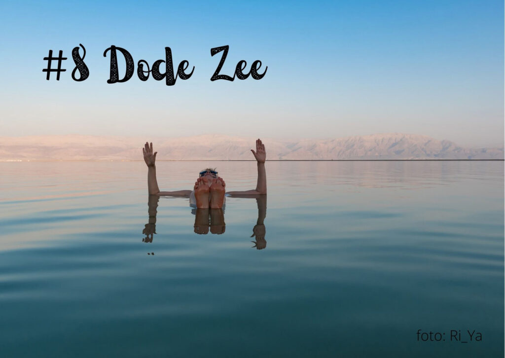 #8 Dode Zee
