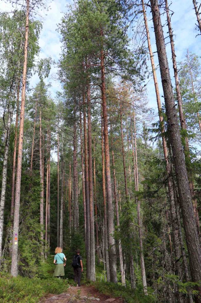 Laatste stukje naar de parkeerplaats terug