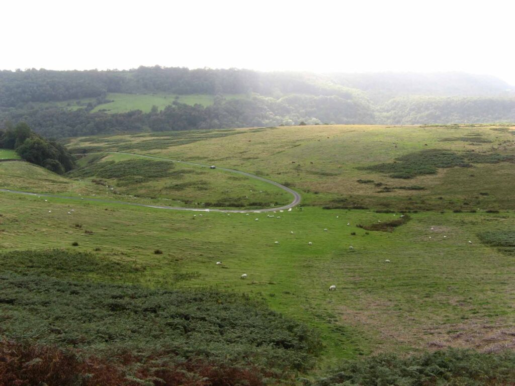 North York Moors