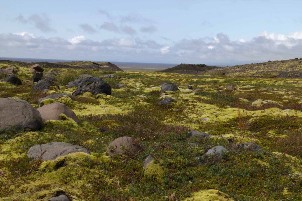 Omgeving naar de gletsjer toe