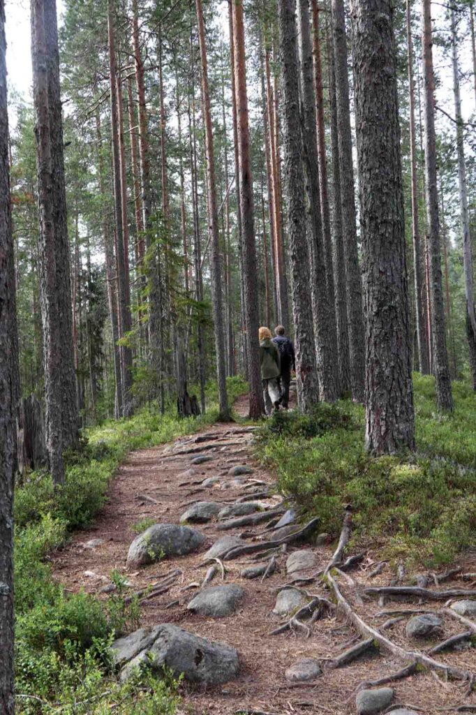 Ongelijk pad Hiidenkierros Trail