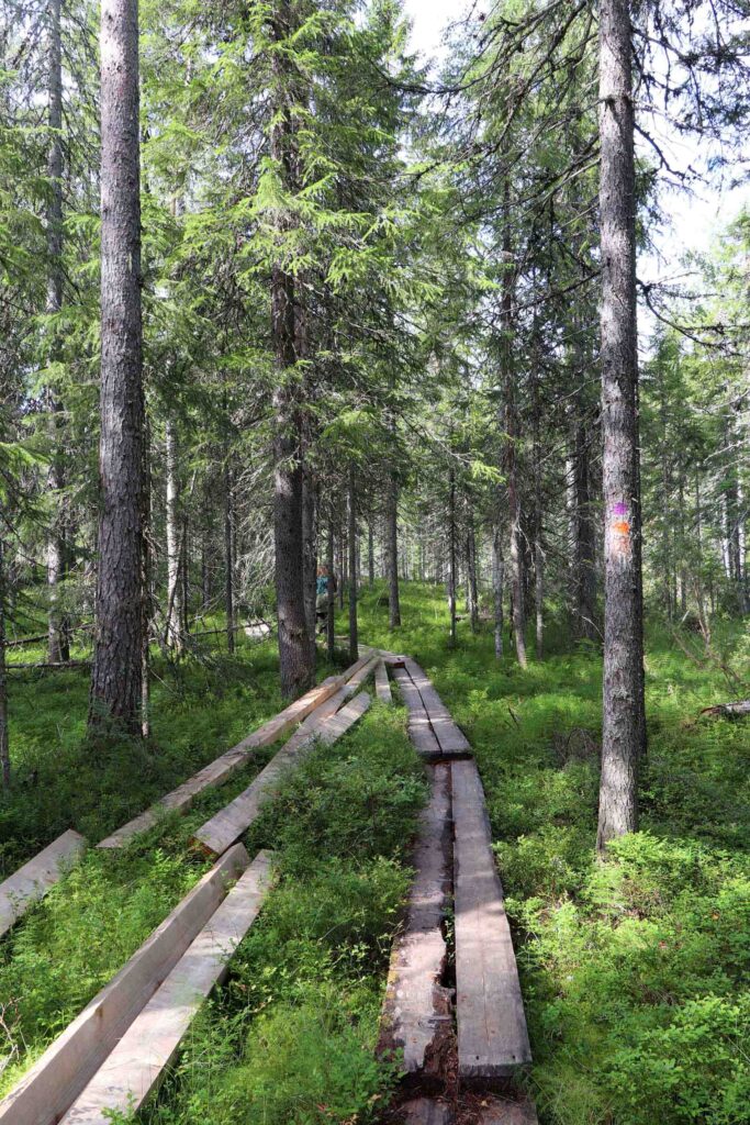 Plankenpad naar Kovasinvaara