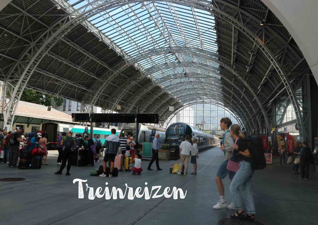 Treinreizen