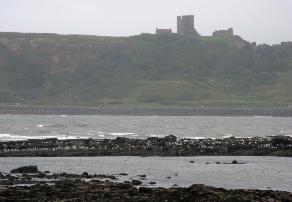 Omgeving Whitby abbey