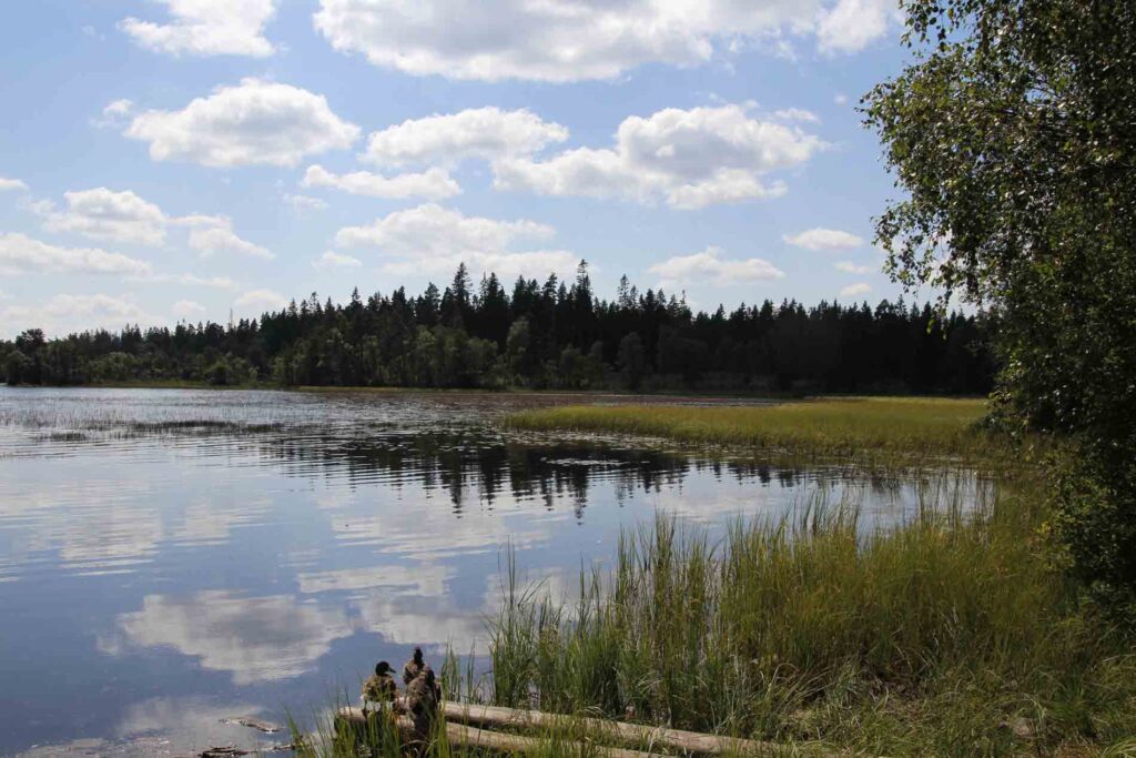 Zweeds landschap