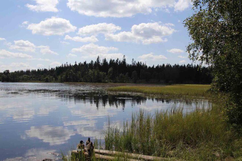 Zweeds landschap