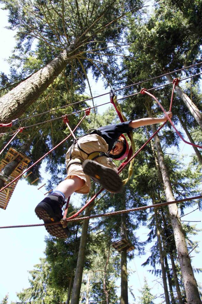 Adventure Forest3