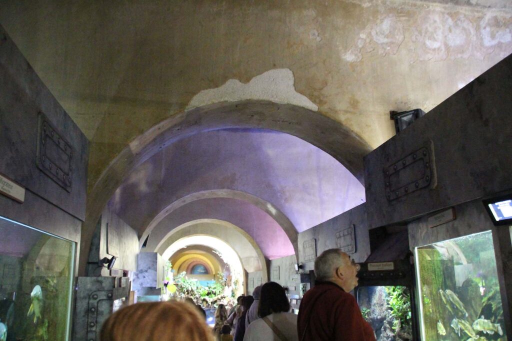 Aquarium in het Catacombes van Limoges