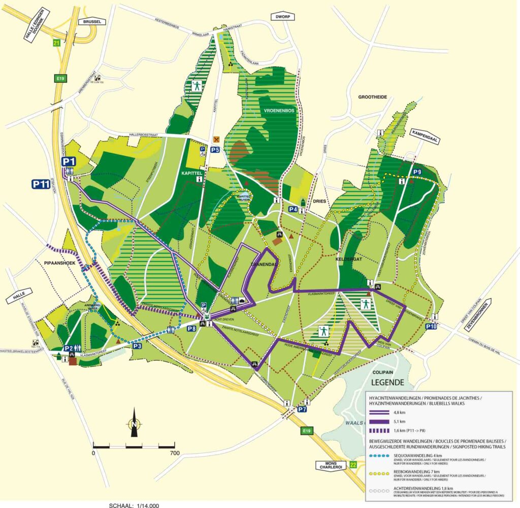 Tijdelijke wandelkaart Hallerbos