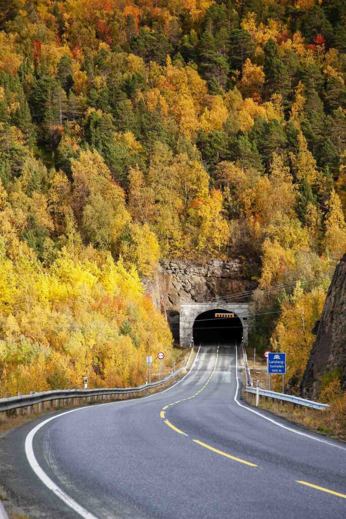 tunnel