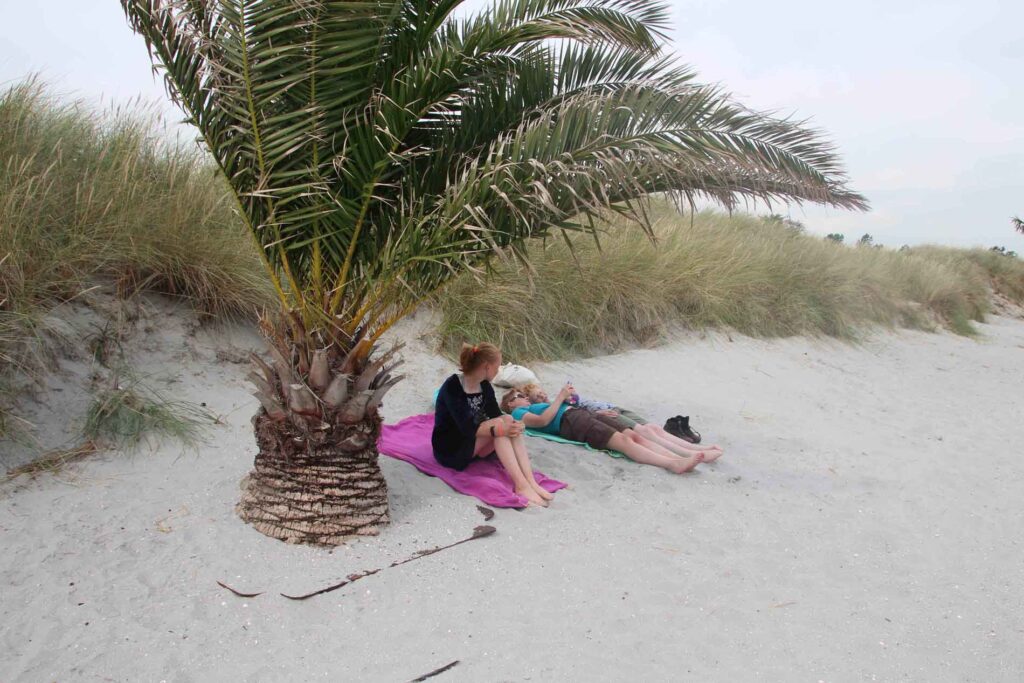 Liggen onder de palmboom op Palmestranden