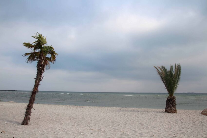 Tropisch strand in Denemarken