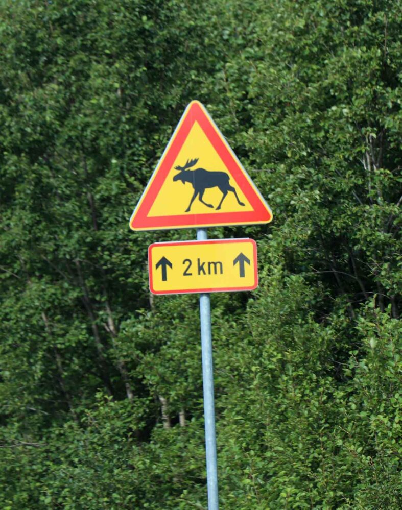 verkeersbord elanden
