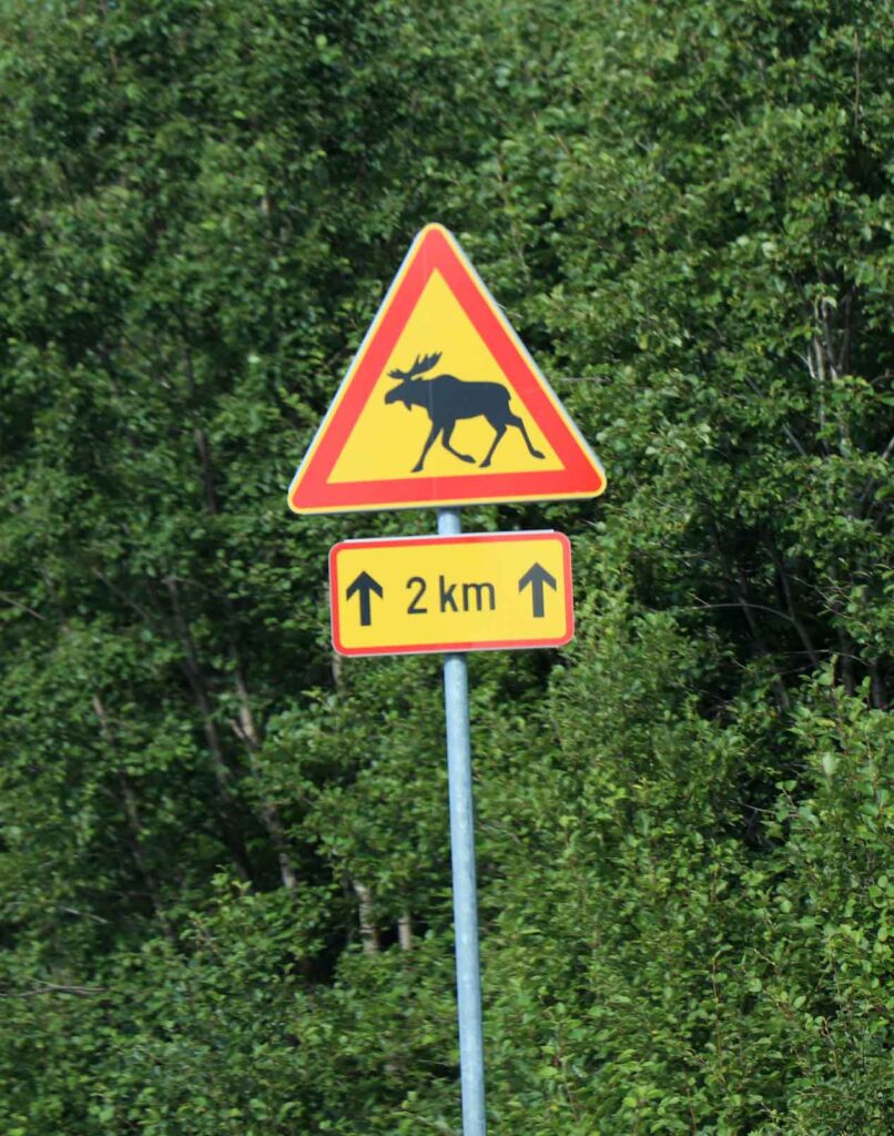 verkeersbord elanden
