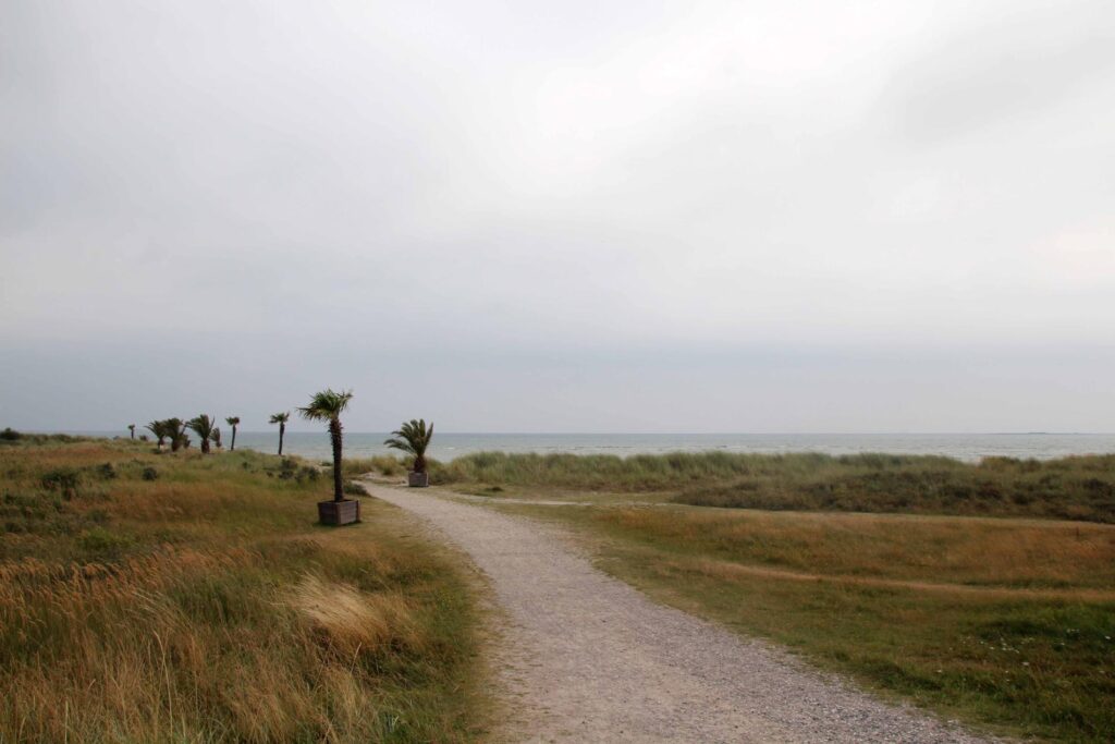 De weg naar het Palmenstrand