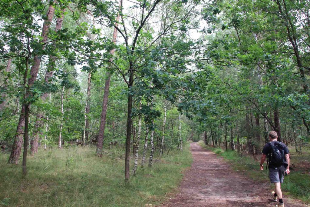 Bosch en Duinroute wandelen