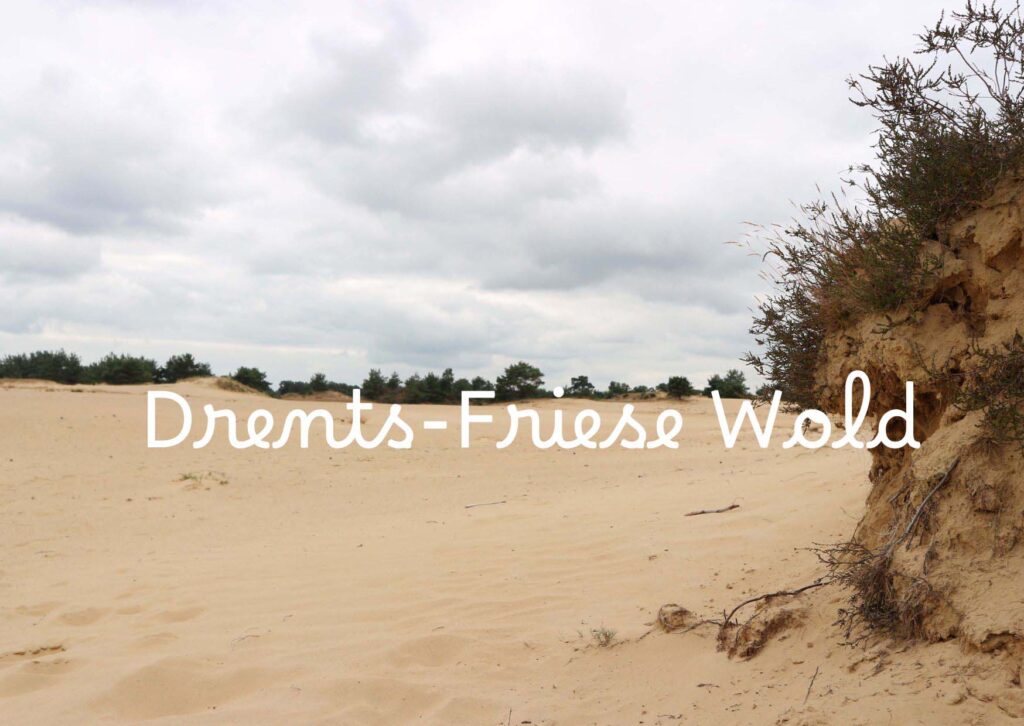 titel Drents Friese Wold