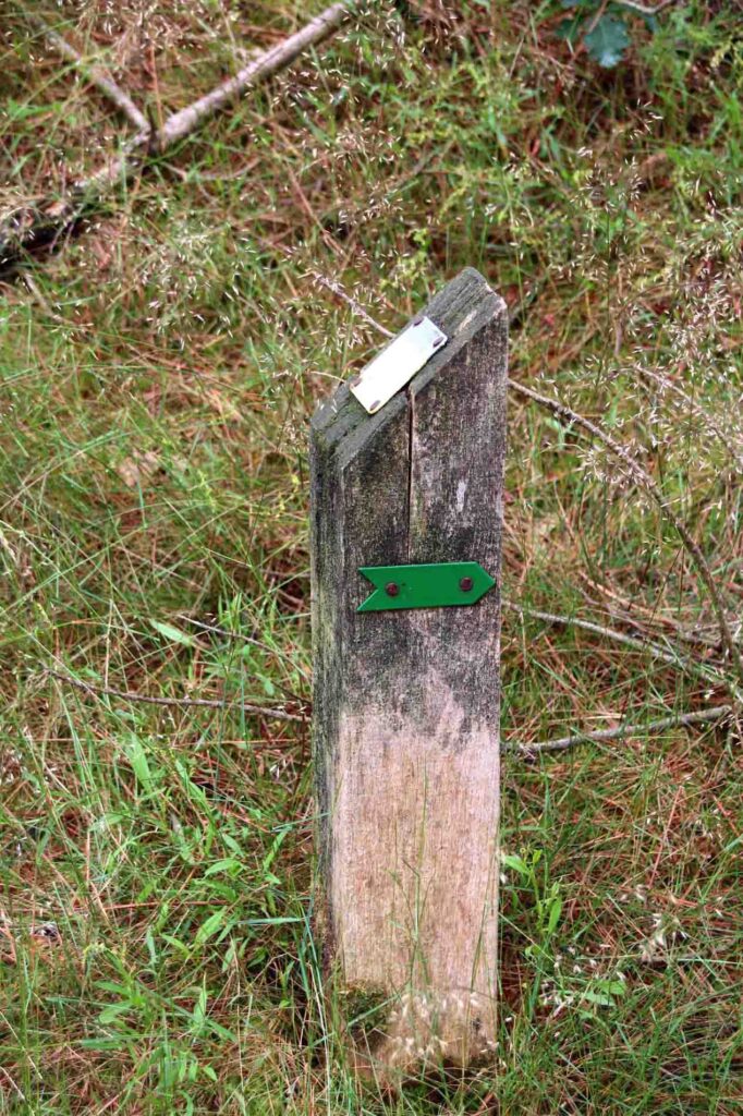 Groene pijltjes