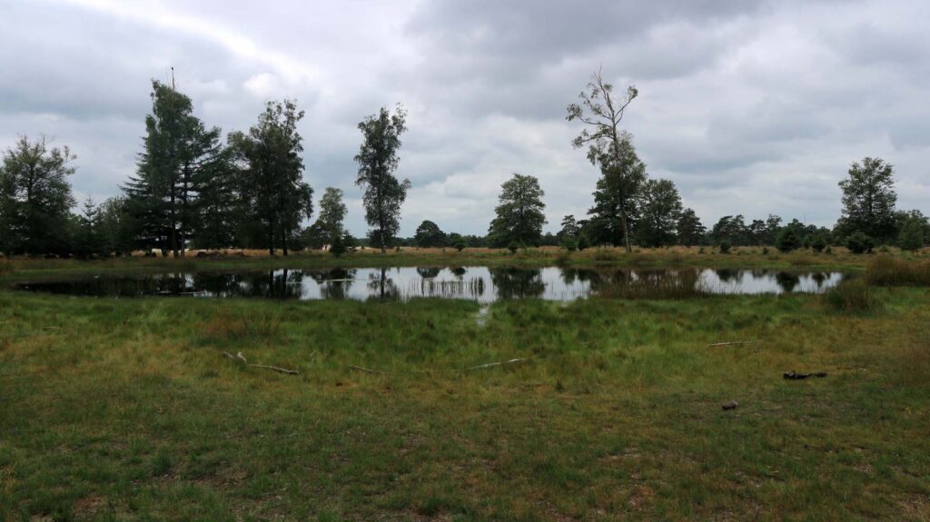 NP Drents Friese Wold