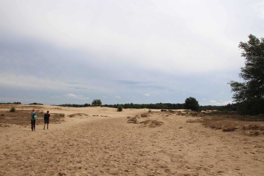 NP Loonse en Drunense Duinen