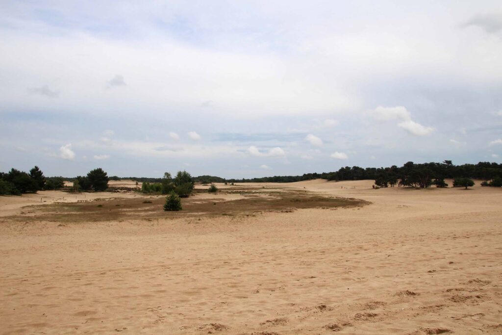 Nederlandse Sahara