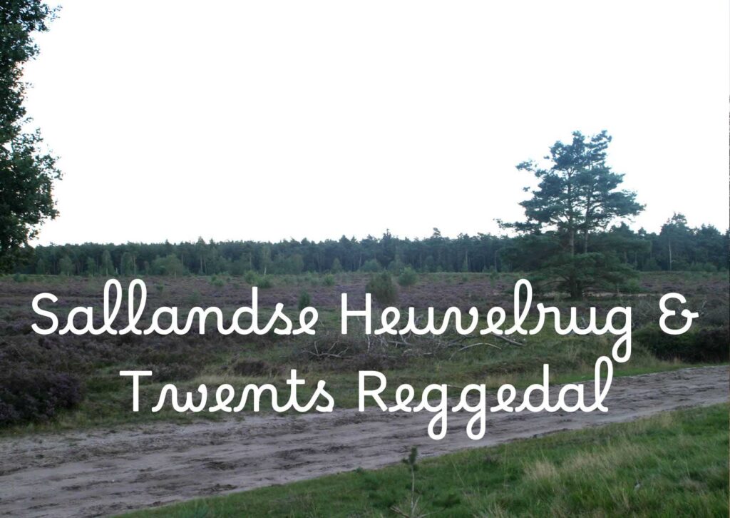 titel Sallandse Heuvelrug & Twents Reggedal