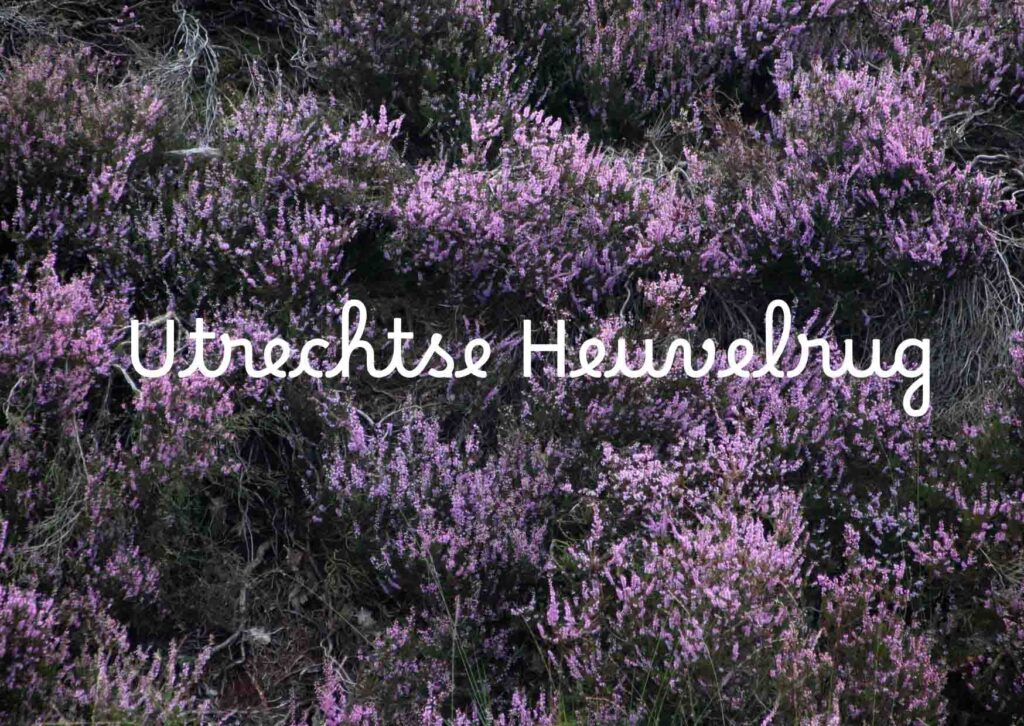 titel Utrechtse Heuvelrug