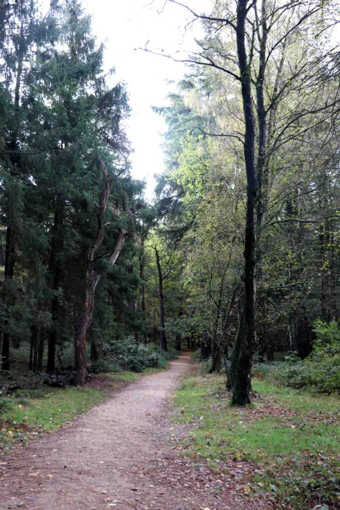 begin herfstwandeling bij de Grebbeberg