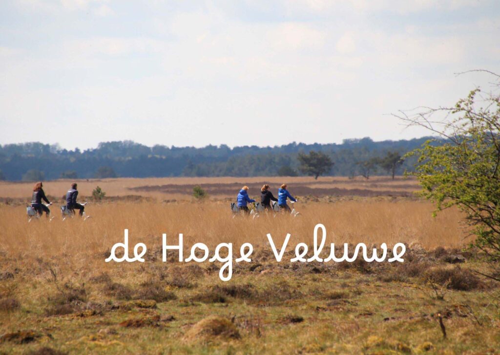 titel De Hoge Veluwe