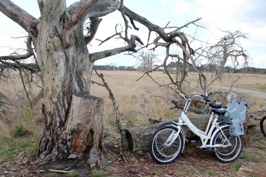 geparkeerde witte fietsen