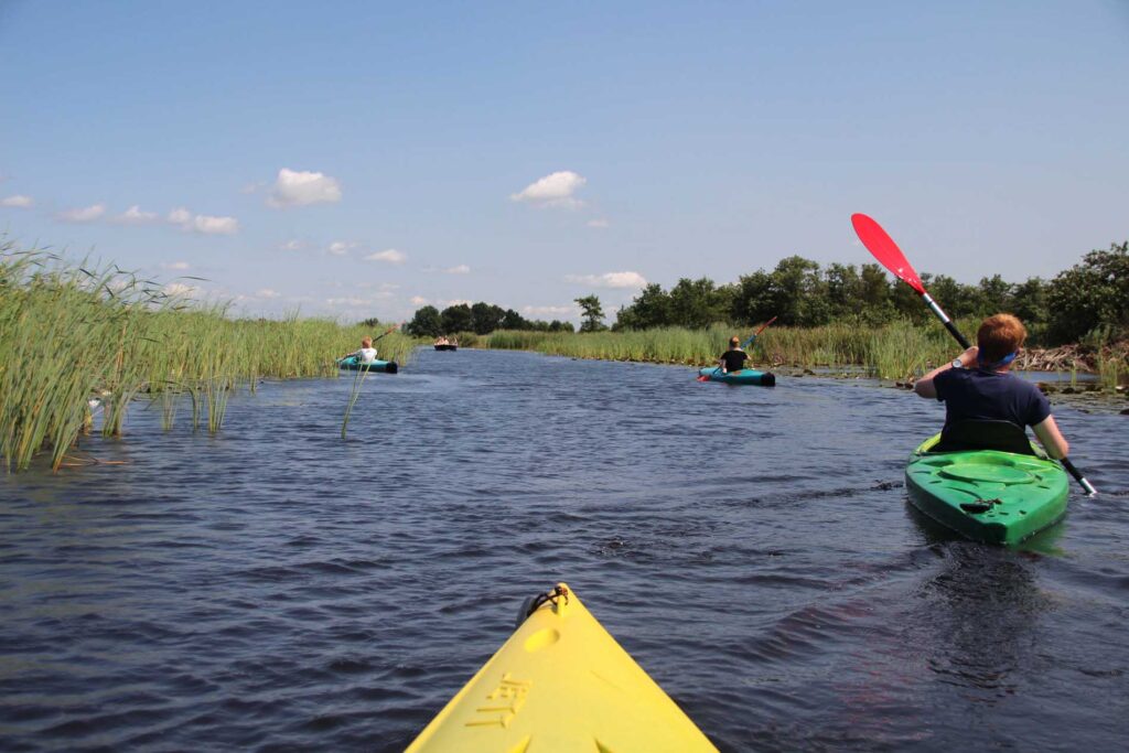 kanoën door NP Weerribben-Wieden