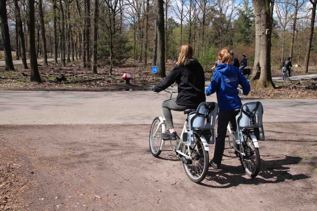 kinderzitjes ANWB paddenstoel