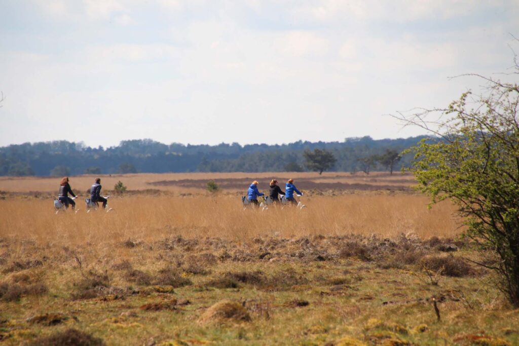 op de witte fiets door NP De Hoge Veluwe