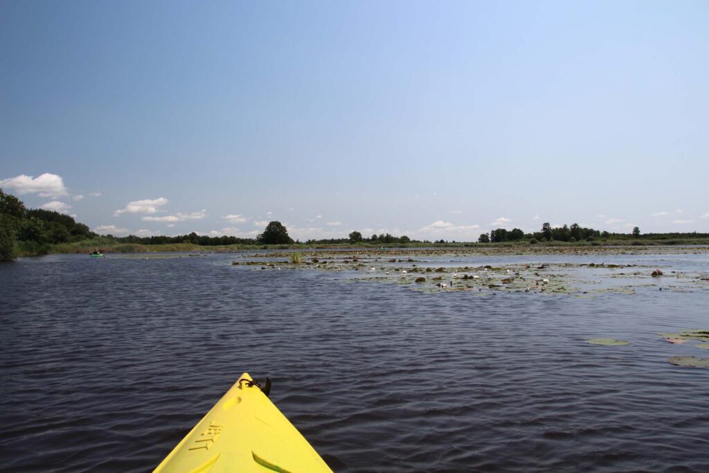 rust en stilte NP Weerribben-Wieden