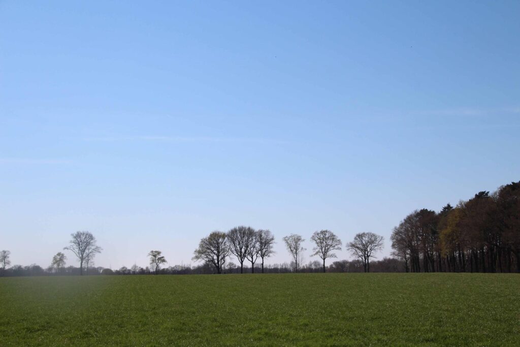 Podwalk Het Verhaal van Nederland