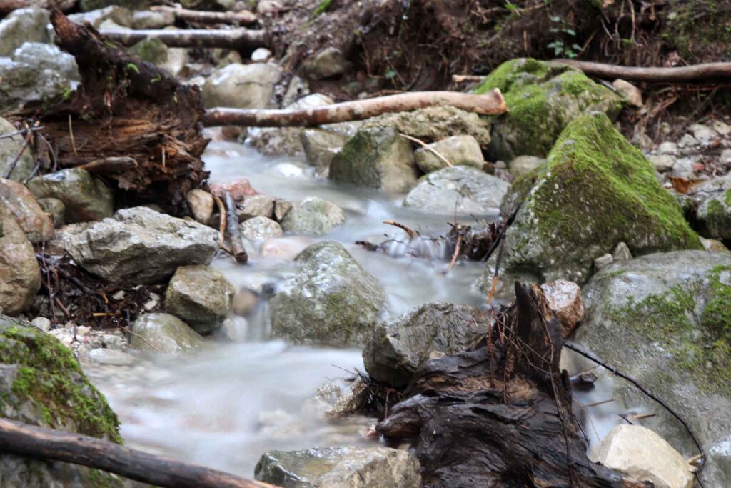Natuur NP Berchtesgaden