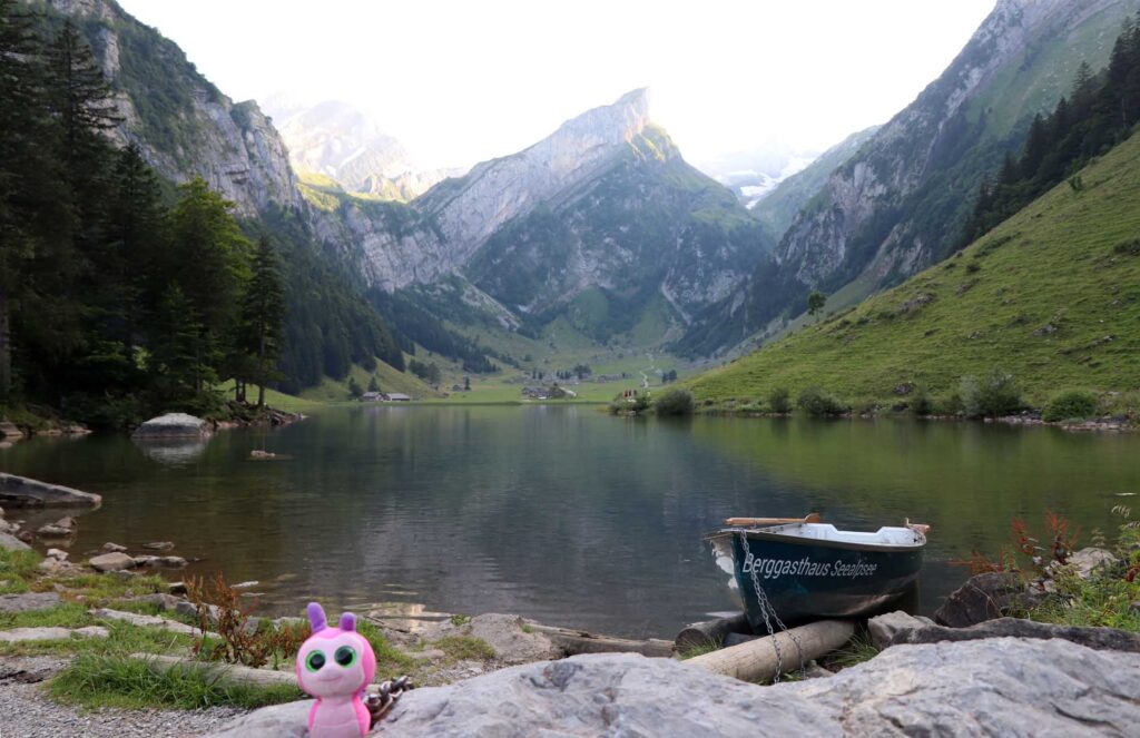 Slijmelientje Seealpsee