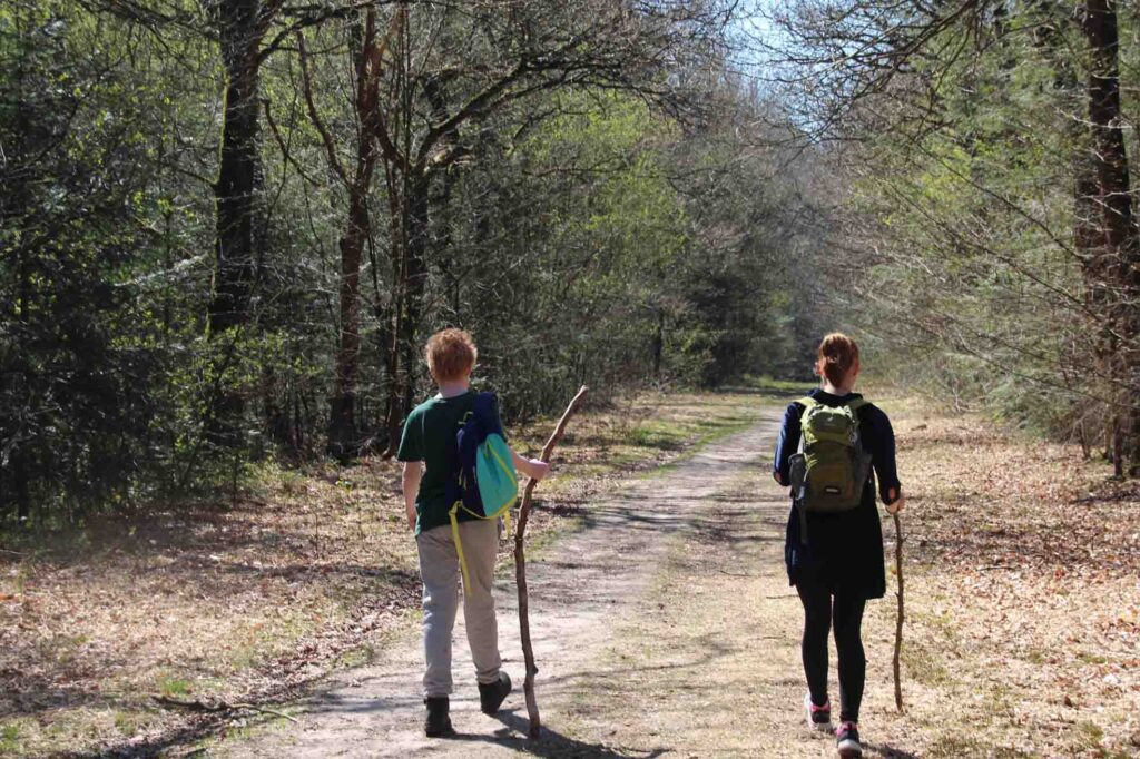 wandelstokken