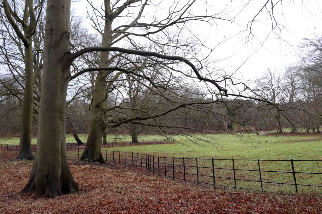 Begin wandeling