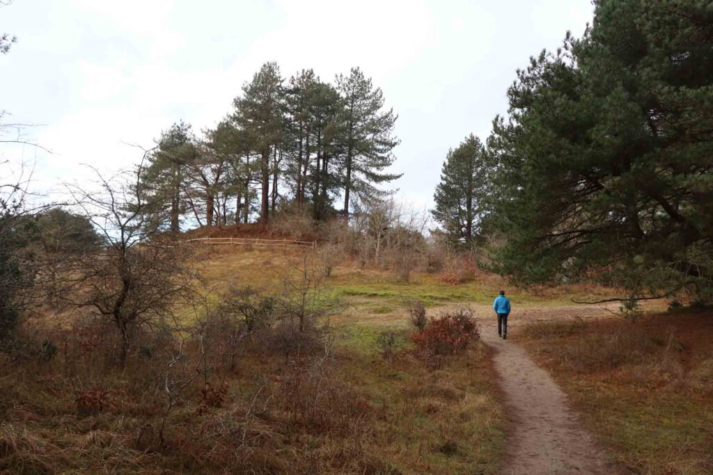 Op weg naar de Appelberg