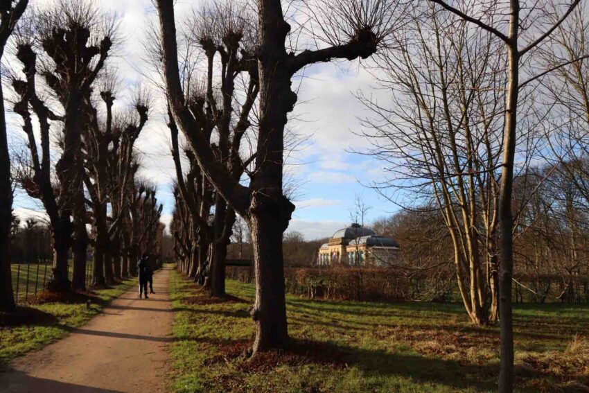 Pad langs de hertenkamp en orangerie