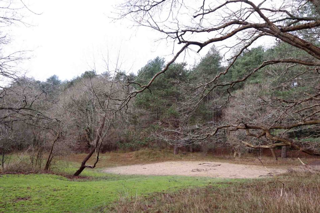 Speelweide