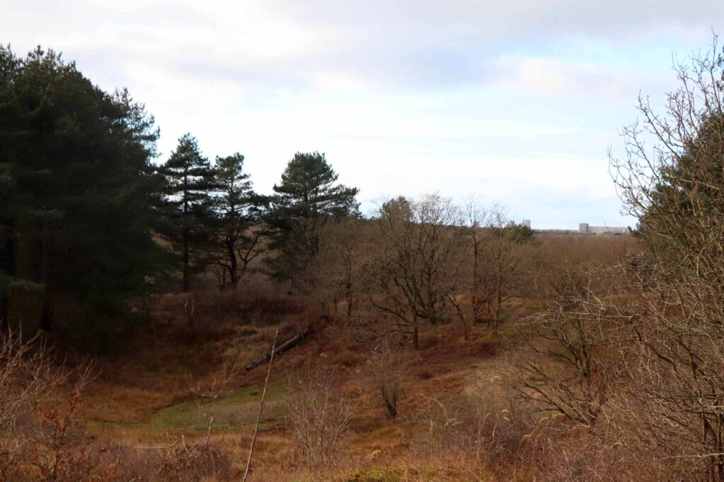 Uitzicht Appelberg
