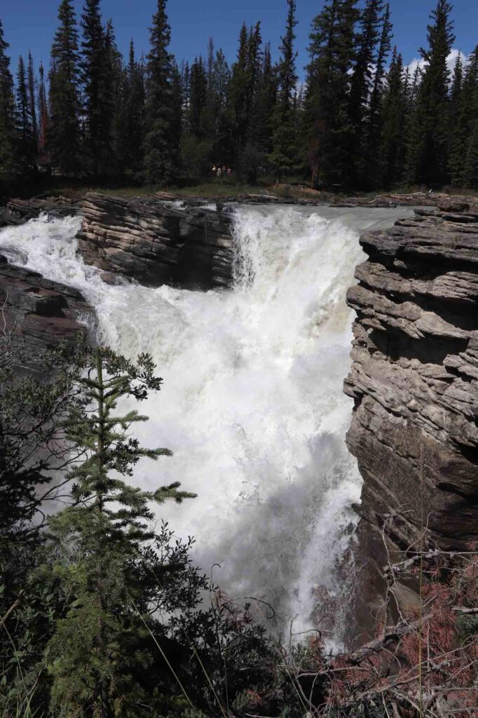 Athabasca Falls 1
