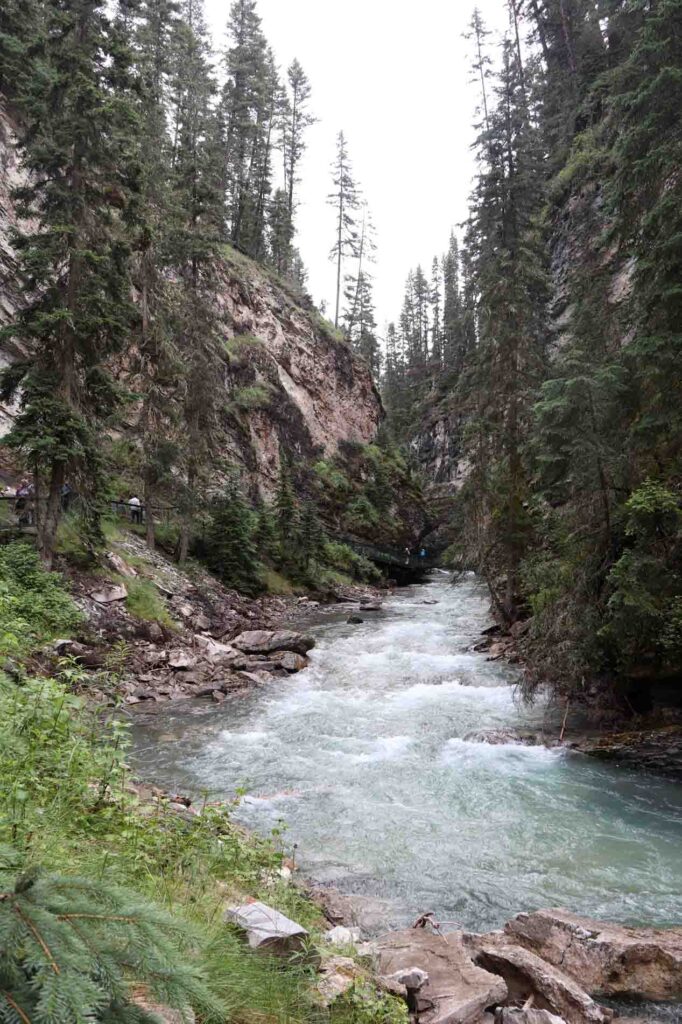 Johnston Creek