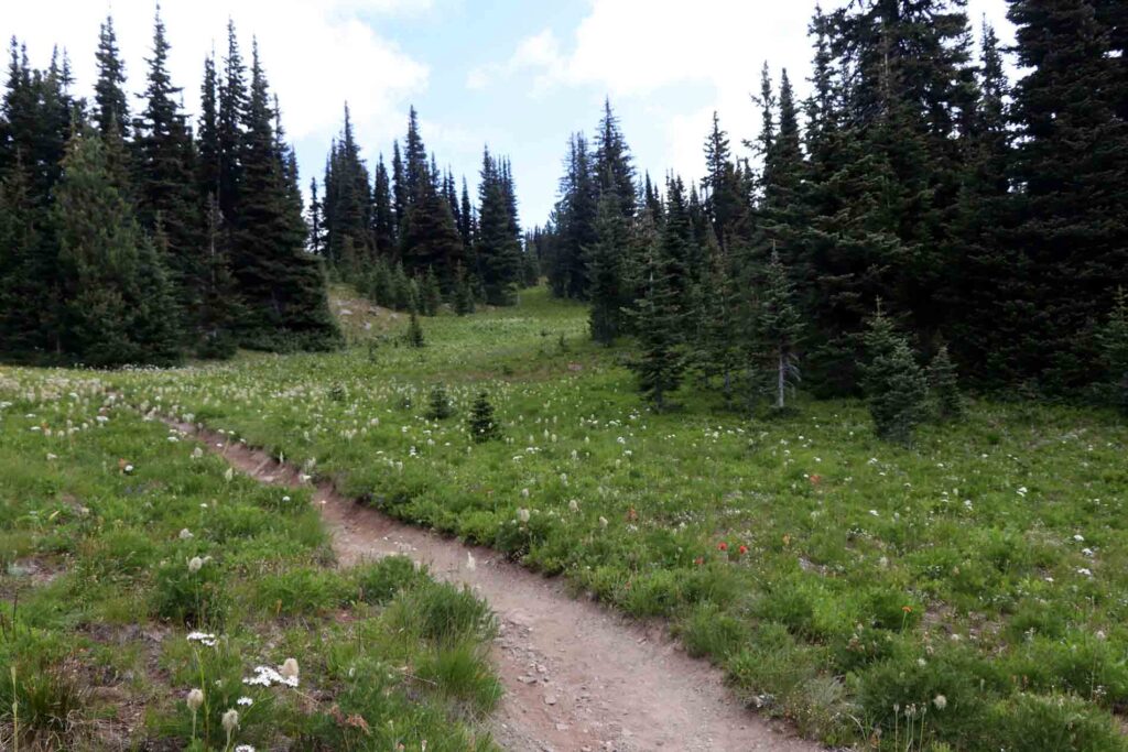 Paintbrush Trail
