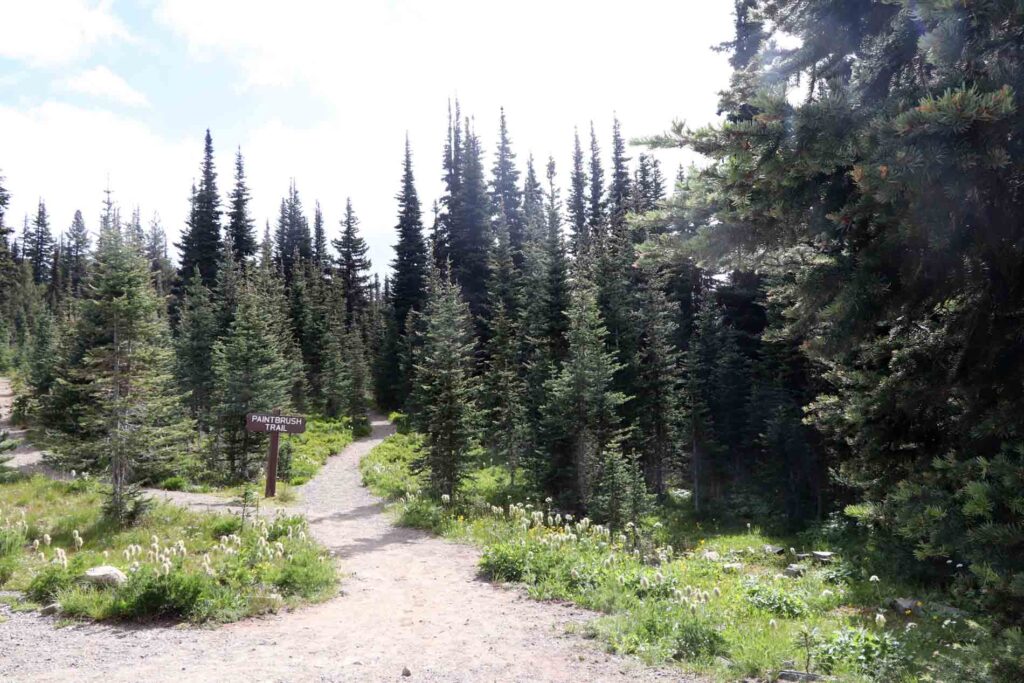 Start Paintbrush Trail