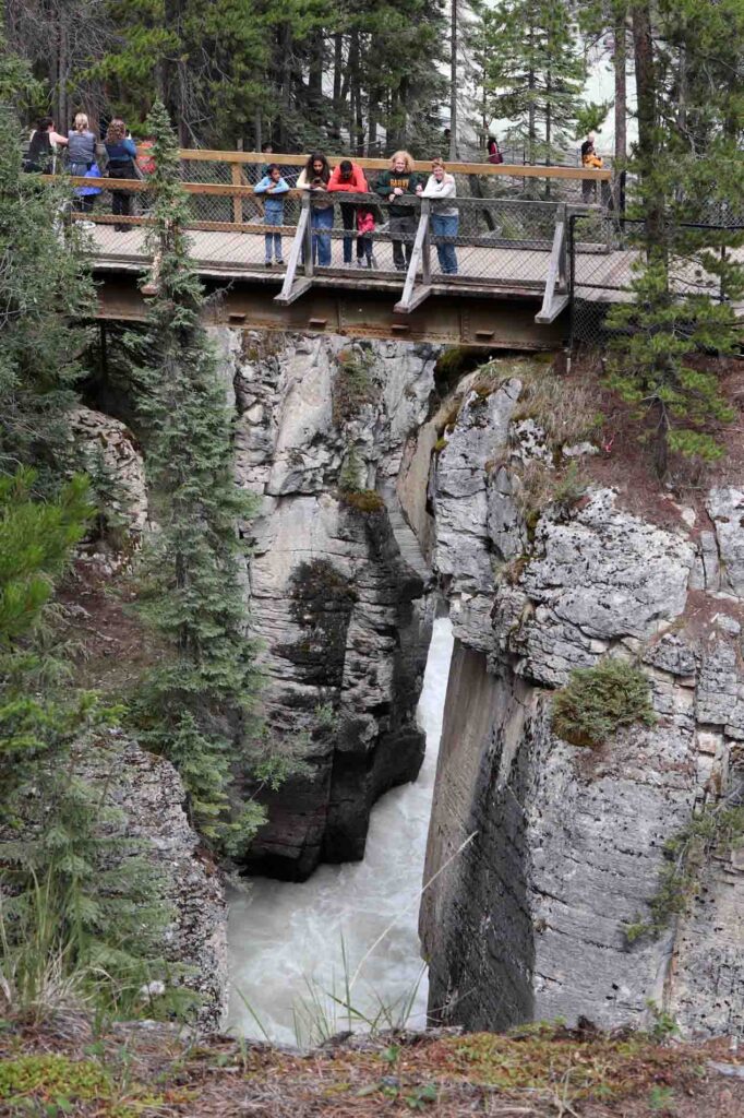 Sunwapta Falls uitkijkpunt