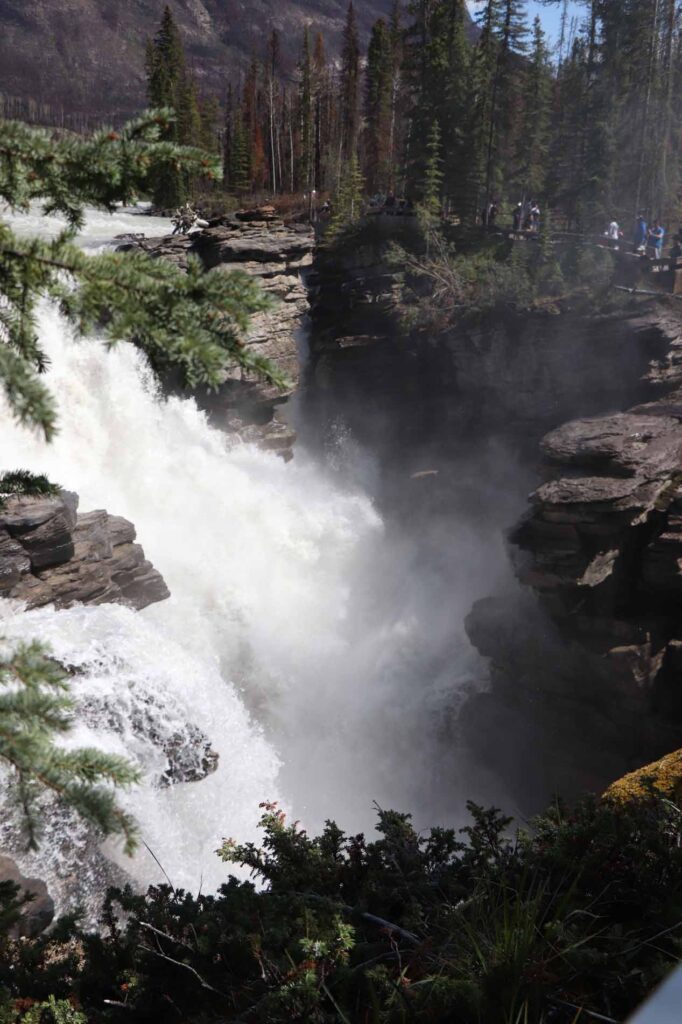 Athabasca Falls
