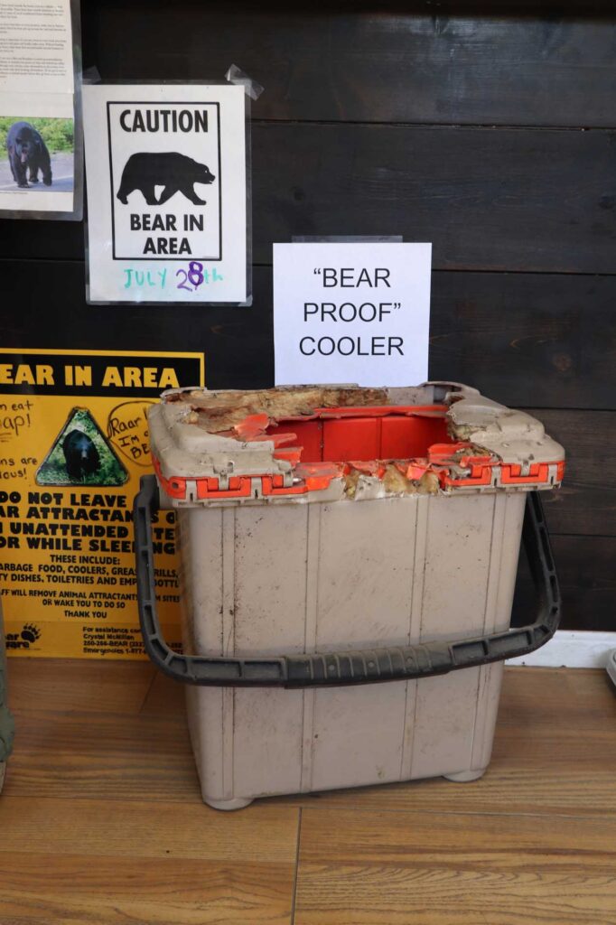 "Bear Proof" cooler